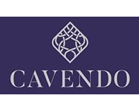 Cavendo Holdings Ltd